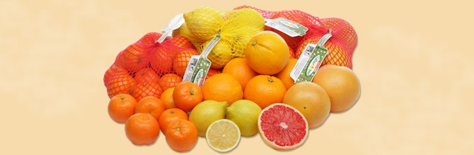 Citrusi