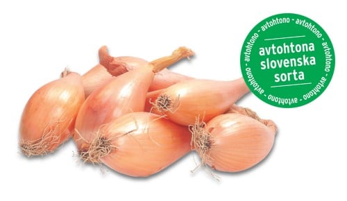Čebula belokranjka SPAR kot nekoč