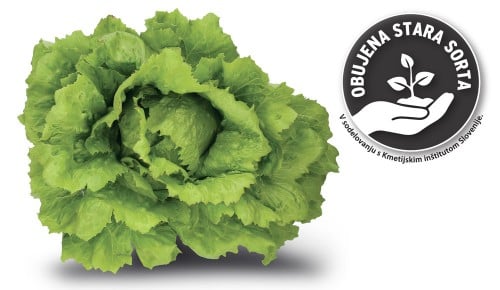 Solata Tolminka SPAR kot nekoč