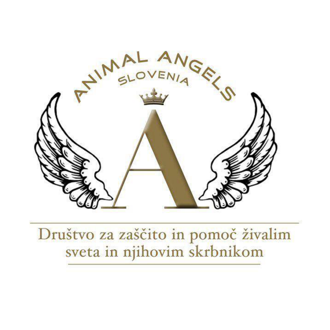 ANIMAL ANGELS, društvo za zaščito in pomoč živalim sveta in njihovim skrbnikom Logo