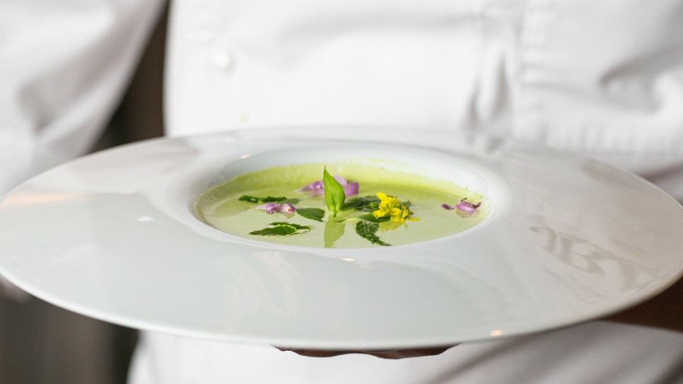 CHEF Marko Pavčnik, Zeliščna juha