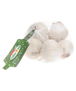 SPAR NATUR*PUR bio bela čebula