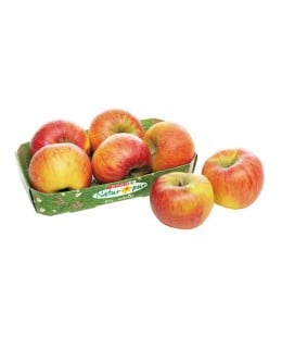 SPAR NATUR*PUR bio rdeča slovenska jabolka