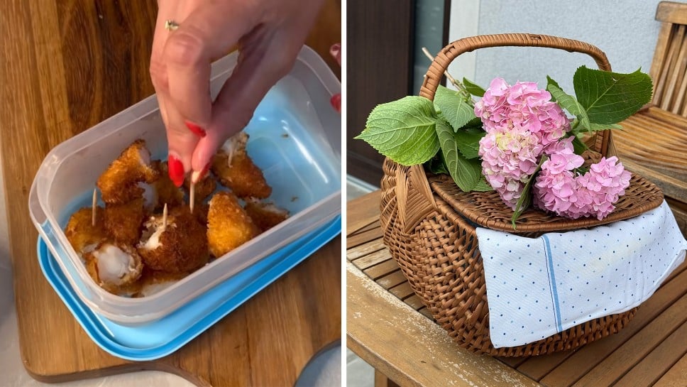 Piknik panko rakci s kokosom in melono - Lidija Subašić