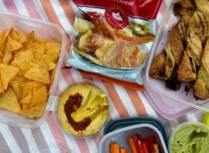Piknik - Lidija Subašič