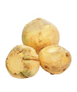 Rumena koleraba
