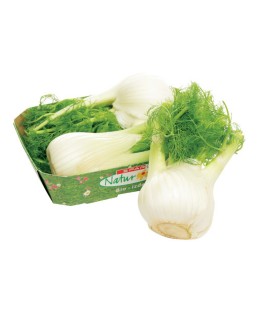 SPAR NATUR*PUR bio koromač