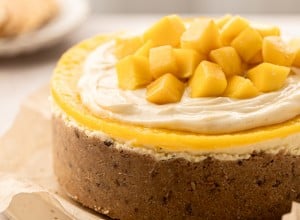 Mango cheesecake brez peke - Nina Zorčič