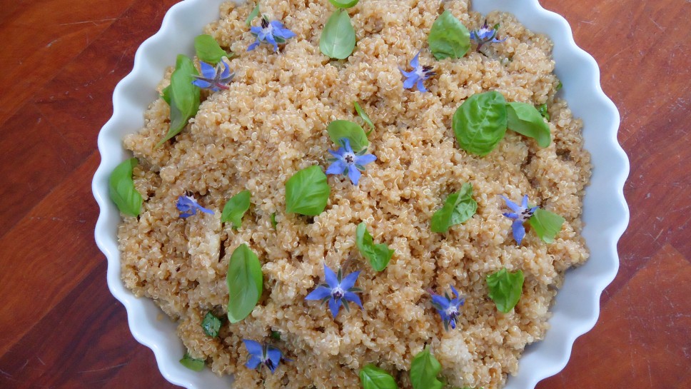 Solata iz kvinoje s cvetačo - Mojca Polak