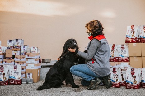 ženska čepi pred psom ter ga boža obdana sta z hrano za pse