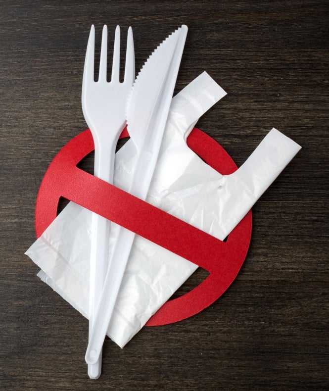 Dobro zame, članek DELO - ZDRAVJE 2022, Izogibajmo se plastiki - julij brez plastike