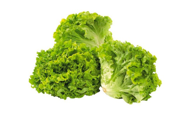 SOLATA KRISTALKA GENTILE