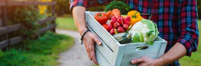 EKO pridelana hrana, 7 dobrih razlogov ZA ekološko prehrano
