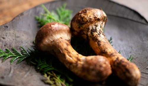 10 najbolj luksuznih živil, Japonska goba matsutake