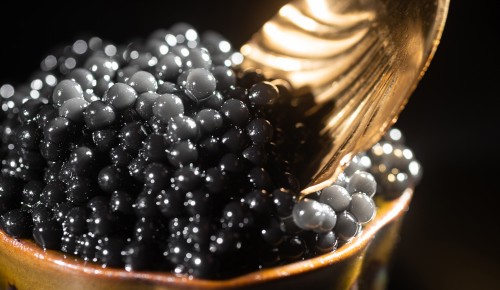 10 najbolj luksuznih živil, Kaviar Beluga