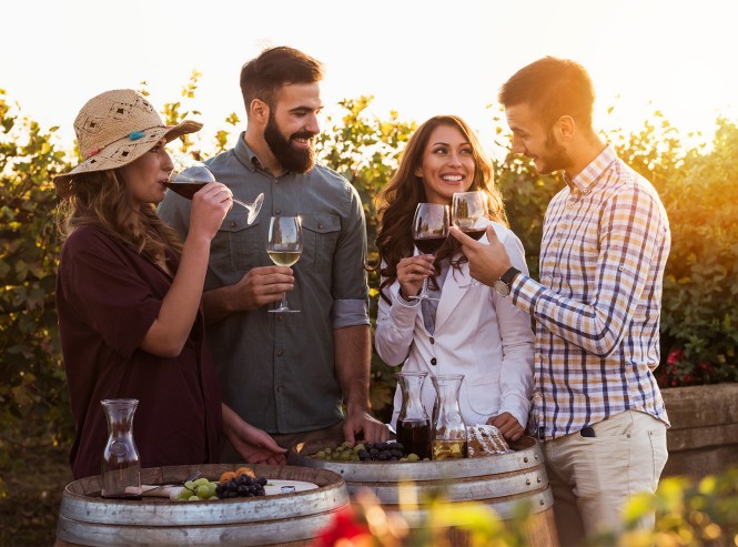 Okušanje vin »za začetnike« ob degustacijski plošči  