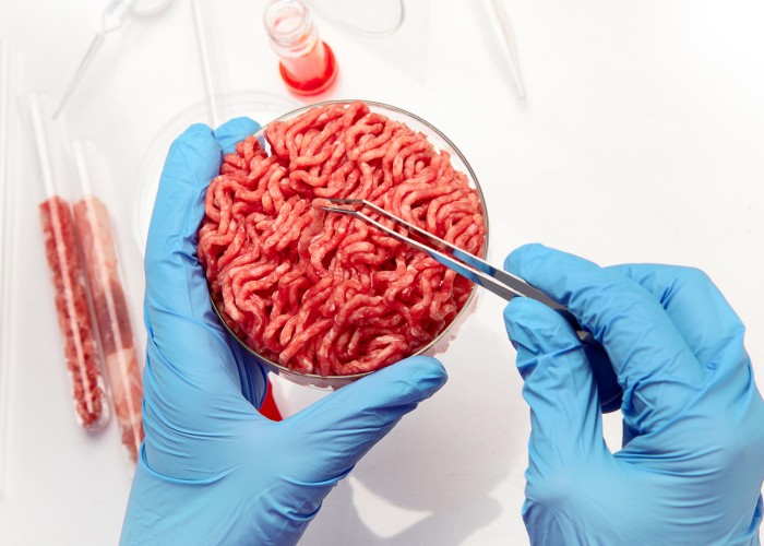 Kulinarični trendi, Alternativne beljakovine nadomeščajo meso