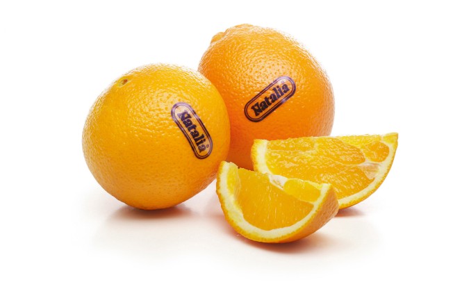 Izbrani okus sezone - pomaranče Natalia