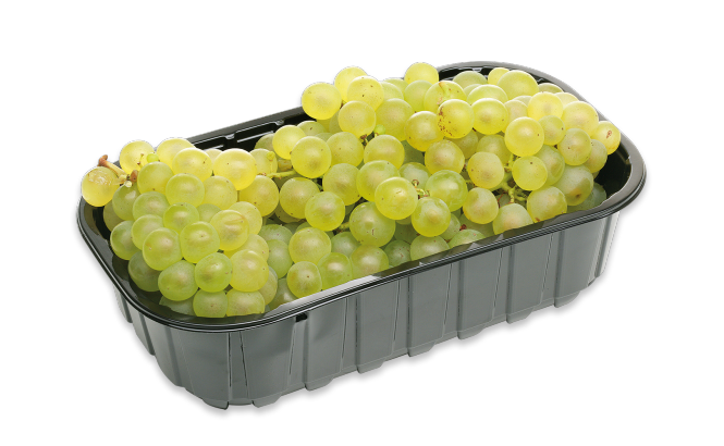Slovensko belo grozdje v plastični košarici