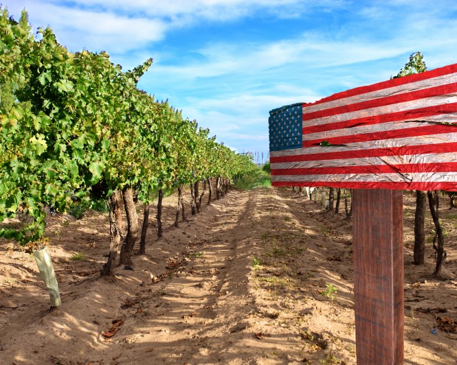 SPAR Vinoteka - 10 odličnih vinskih regij - Amerika