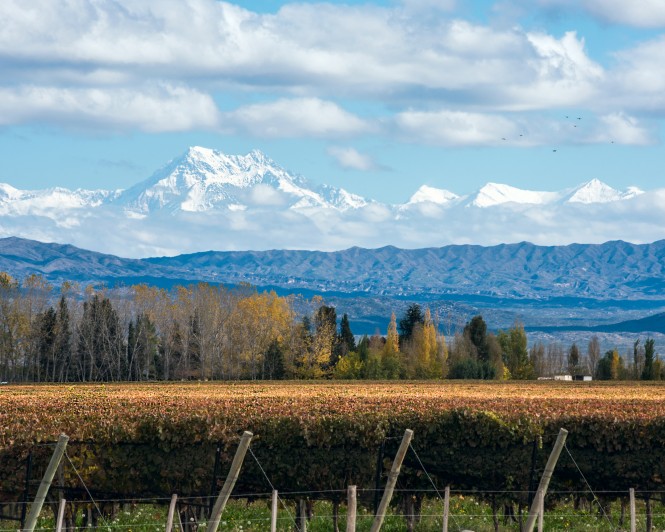 SPAR Vinoteka - 10 odličnih vinskih regij - Čile