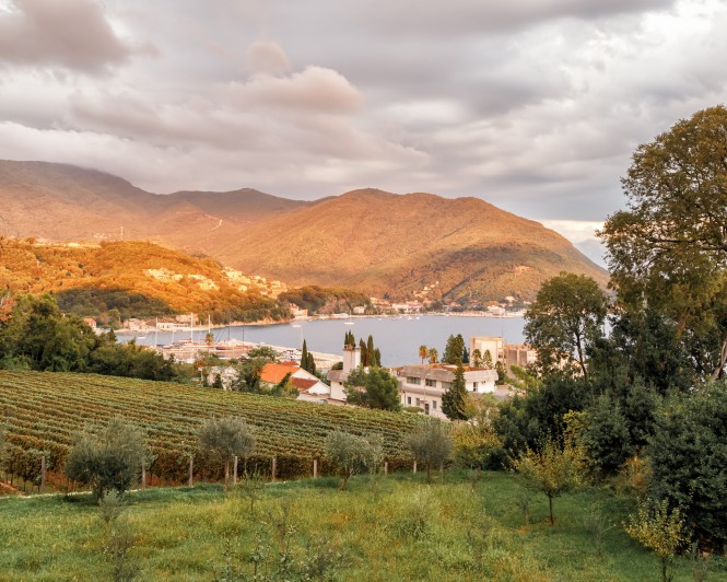 SPAR Vinoteka - 10 odličnih vinskih regij - Črna gora