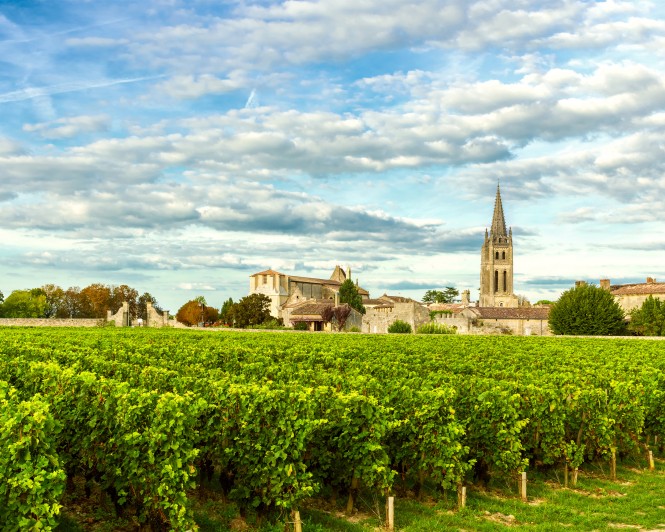 SPAR Vinoteka - 10 odličnih vinskih regij - Francija