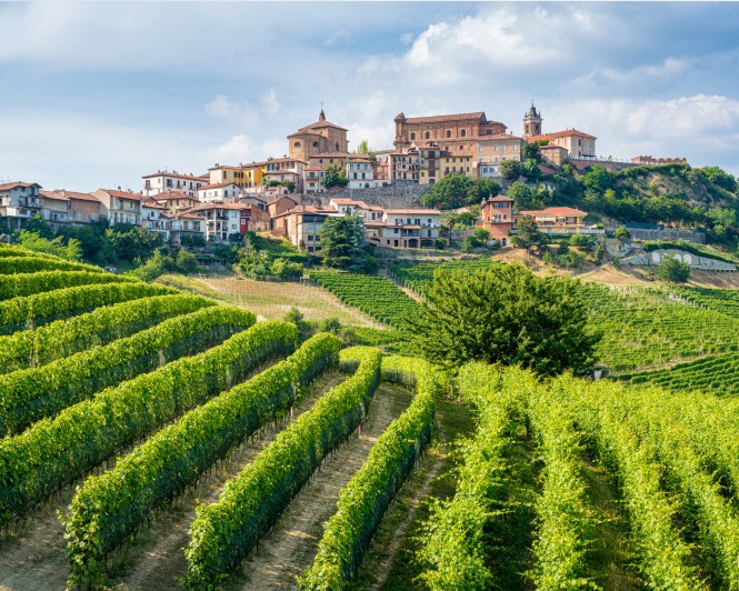 SPAR Vinoteka - 10 odličnih vinskih regij - Italija
