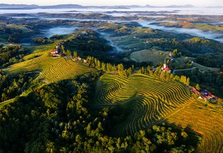 Slovenske vinske klasike, Avtohtoni vinogradniški biseri