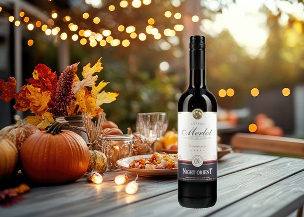 Brezalkoholno vino Merlot night orient