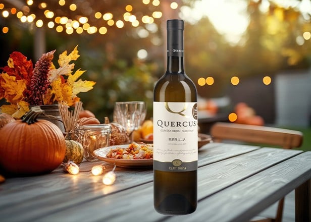 Belo vino rebula Quercus Goriška Brda