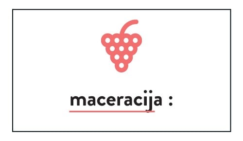 Vinski slovarček, maceracija