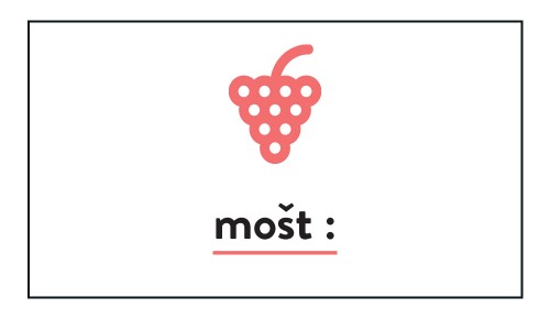 Vinski slovarček, mošt