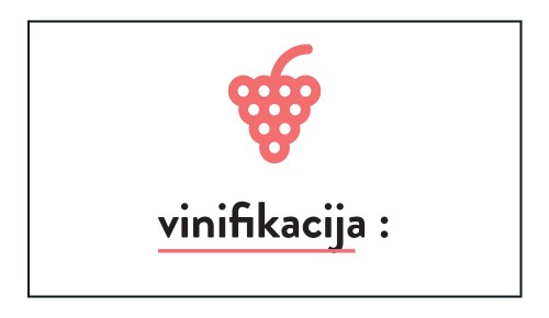 Vinski slovarček, vinifikacija
