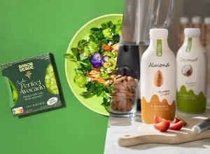 Avokado Sabor Verde in napitki Body&Future