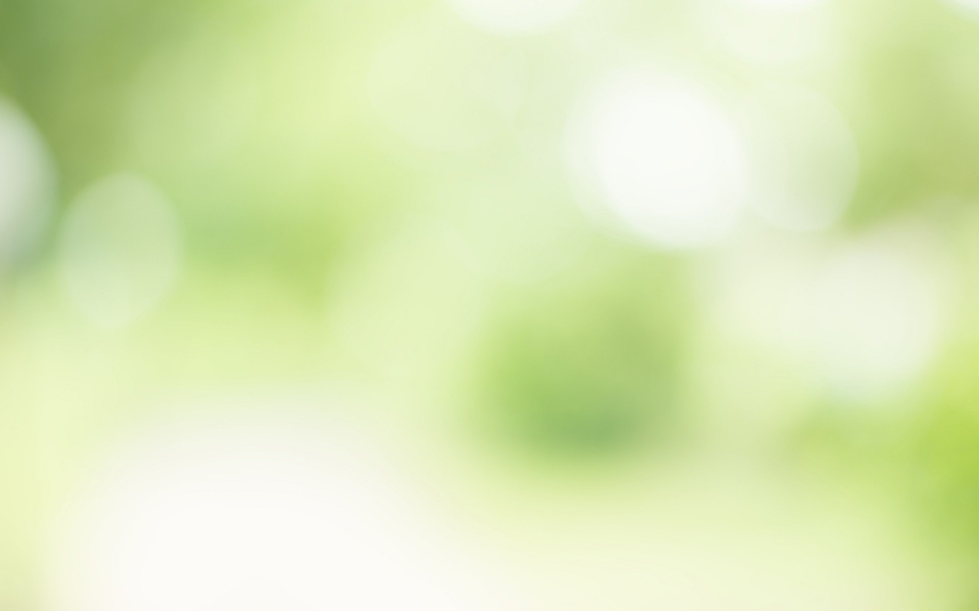abstract blur green color for background,blurred and defocused effect spring concept for design