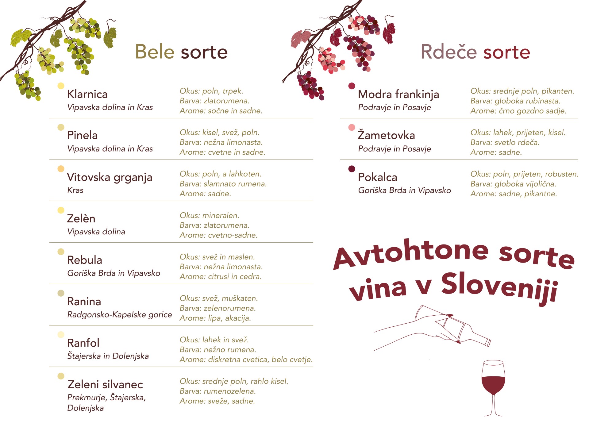 Vino, sonce v steklenici, avtohtone sorte vina v Sloveniji, SPAR SI