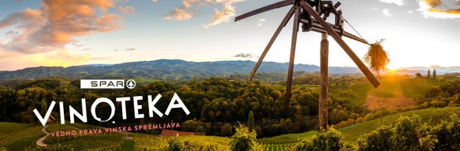 RAZVOJ VINA NA SLOVENSKEM, VINO, SPAR