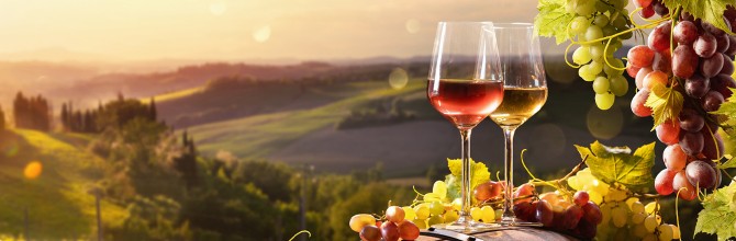 Vino, sonce v steklenici, SPAR SI