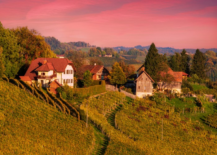 Vino, sonce v steklenici, bogastvo slovenske vinske tradicije, vinske ceste in odprte kleti, SPAR SI