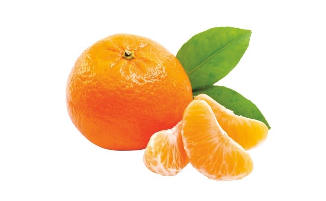 Mandarine iz doline reke Neretve