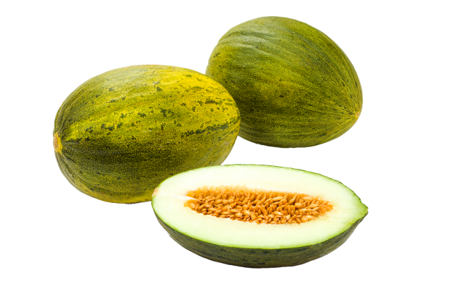 MELONA PIEL DE SAPO