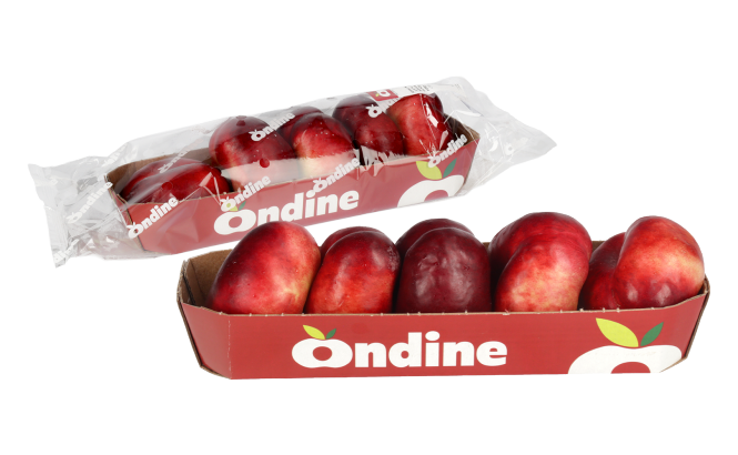 Nektarine Ondine