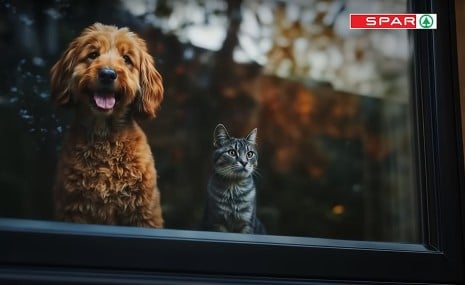 Ustvarjeno z umetno inteligenco Video - Scotty & Molly
