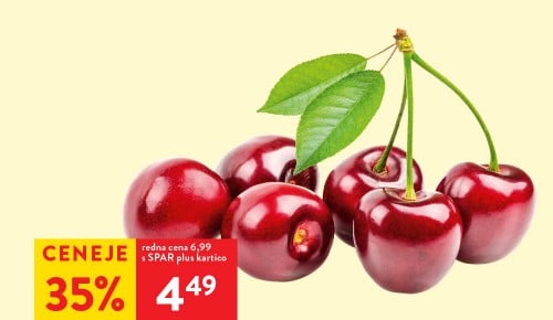 ČEŠNJE, 1 kg - 35 % popust s SPAR plus kartico