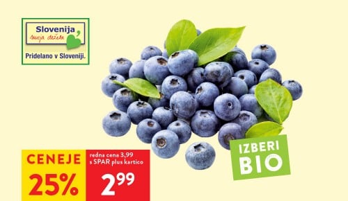 SLOVENSKE BIO BOROVNICE, pakirano, 250 g - 25 % ceneje s SPAR plus kartico