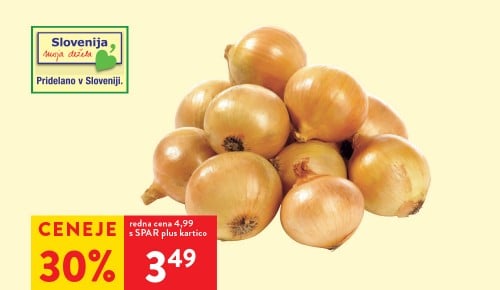 SLOVENSKA ČEBULA pakirano, 5 kg - 30 % ceneje s SPAR plus kartico