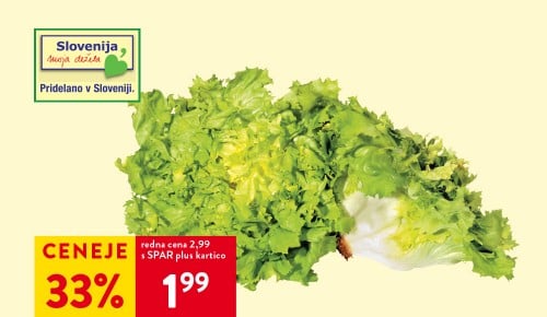 SLOVENSKA SOLATA ENDIVIJA, 1 kg - 33 % ceneje s SPAR plus kartico