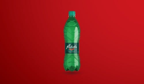 Trajno znižano izdelki - RADENSKA CLASSIC 0,75 l   