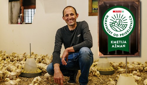 Naravnost od pridelovalca - kmetija Ažman Lastnik kmetije Ažman v hlevu med piščanci